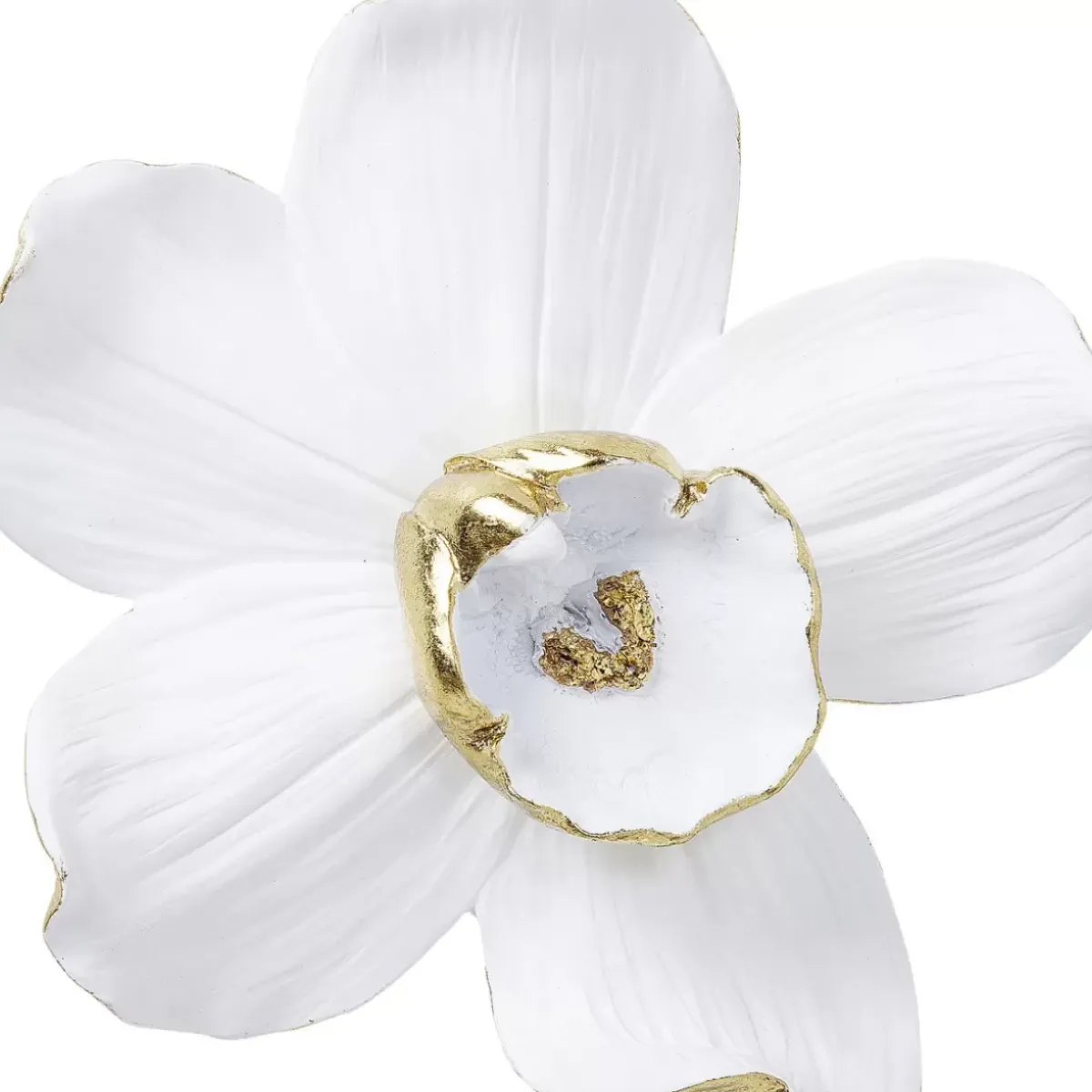 Outlet Wandschmuck Orchid Weis 25Cm Bilder