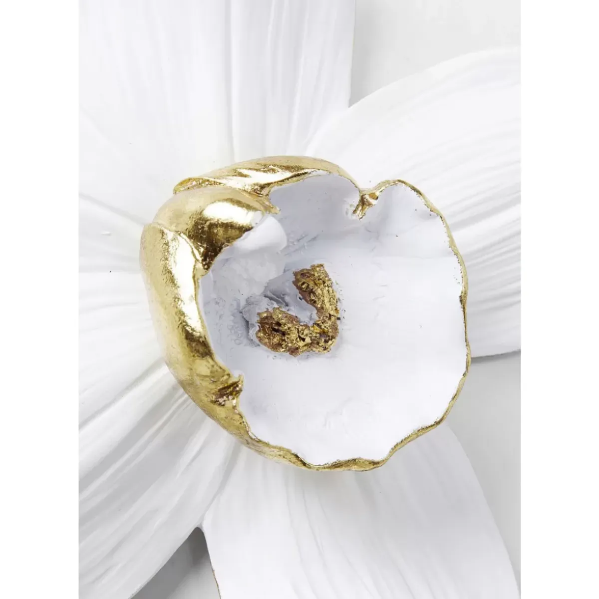 Outlet Wandschmuck Orchid Weis 25Cm Bilder