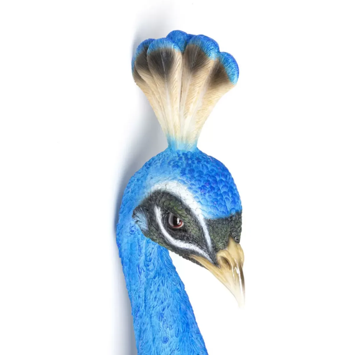 Wandschmuck Peacock Bilder
