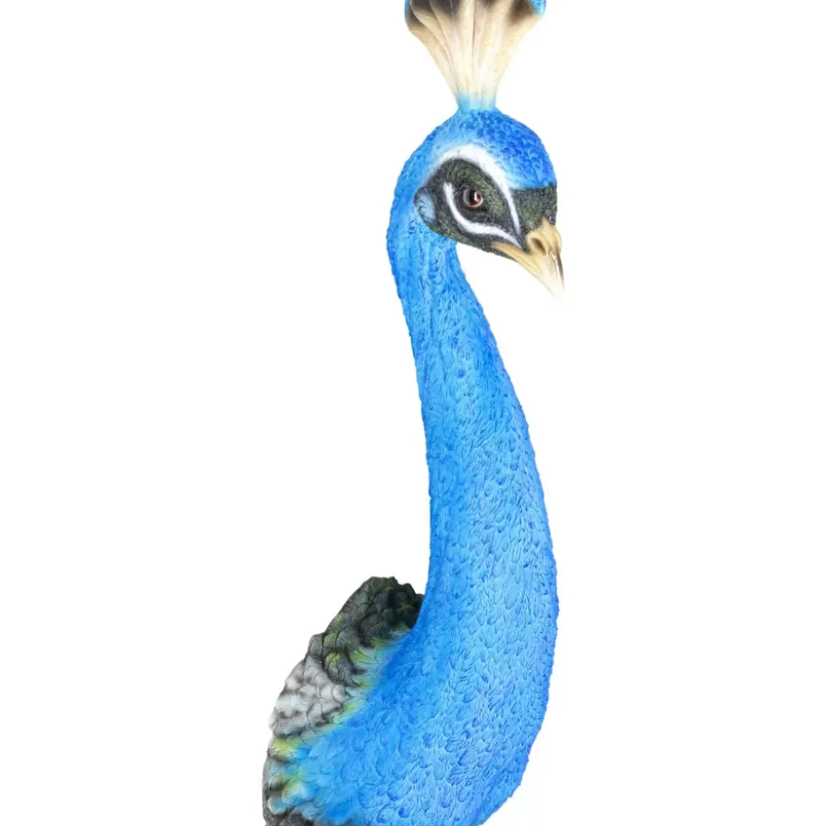 Wandschmuck Peacock Bilder